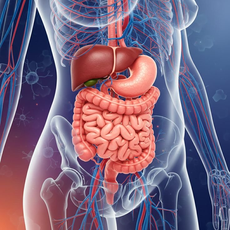 Internal Medicine